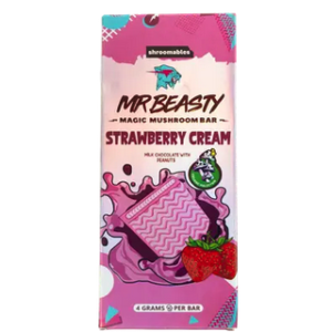 Mr Beast Chocolate Bars
